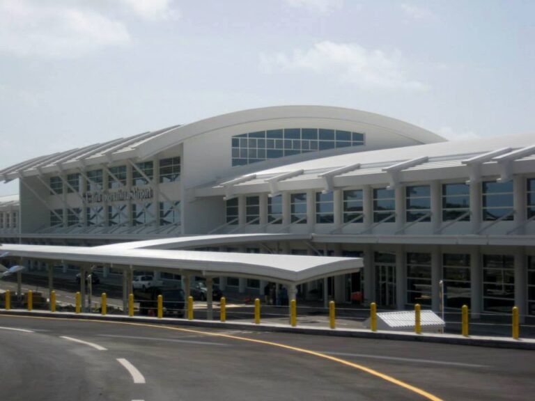 Jamaican Deportee Assaults Police Officer at V.C. Bird International ...