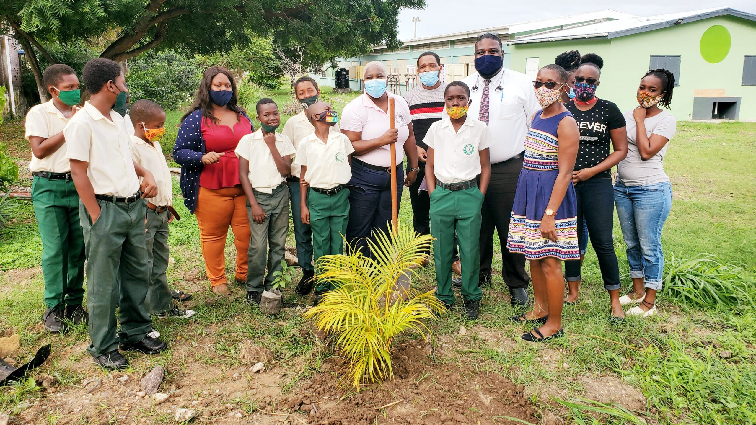 Tree Planting with Caribbean Tree Planting Project Antigua and Barbuda