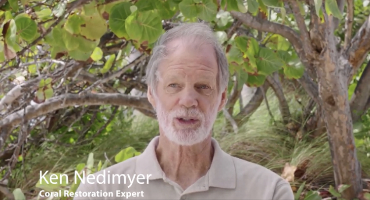 Launch Of The Elkhorn Marine Conservancy And The Coral Reef Restoration