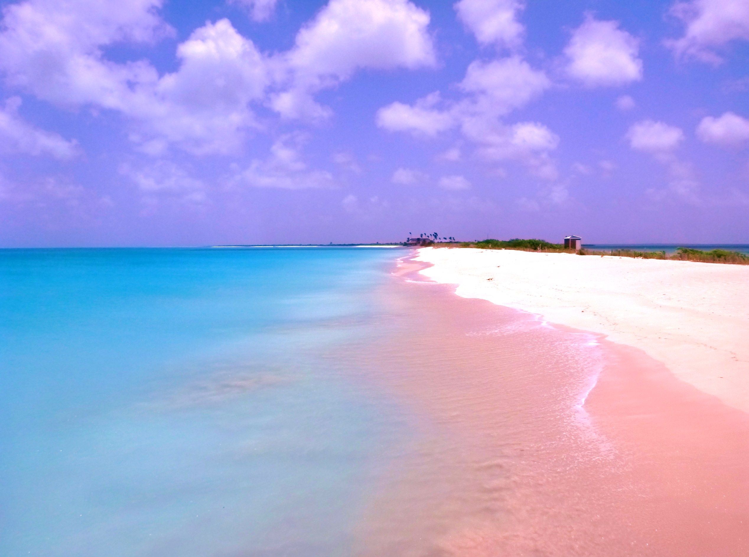 pink beach trip