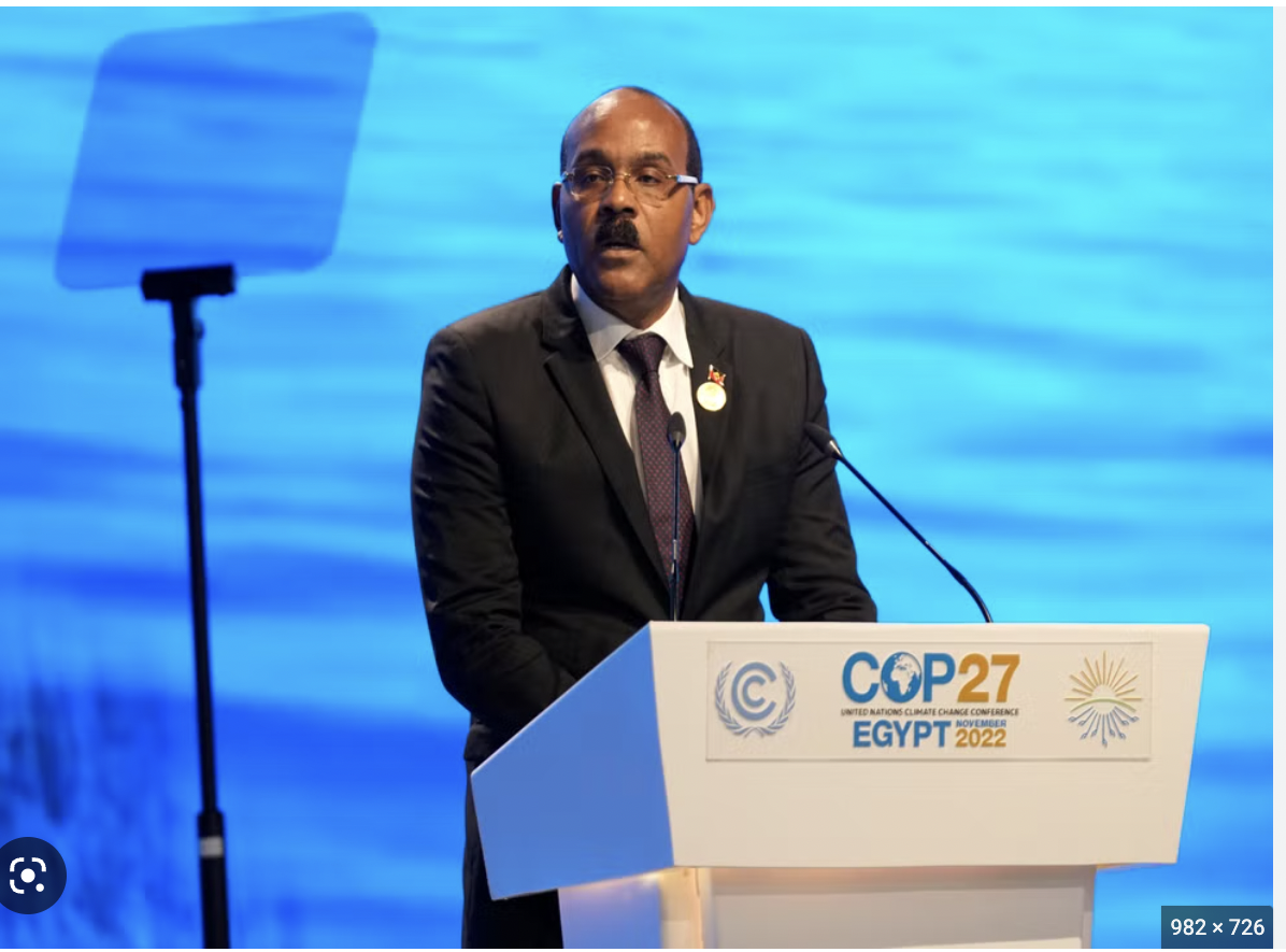 COP27 climate talks Do heads of state make a difference there